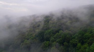 Bulgaristan 'ın Strandzha Ulusal Parkı' ndaki sisli orman dağları üzerinde uçan insansız hava aracı görüntüsü. Sisli manzaralar ve yeşil ormanlar doğada barışçıl ve mistik bir atmosfer yaratır..