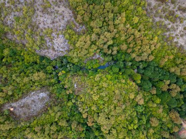 Bulgaristan 'ın Strandzha Ulusal Parkı' ndaki kayalık uçurumlar ve gizli bir nehirle yoğun yeşil bir ormanın üzerinde uçan büyüleyici bir hava aracı görüntüsü doğanın dokunulmamış güzelliğini yakalıyor..