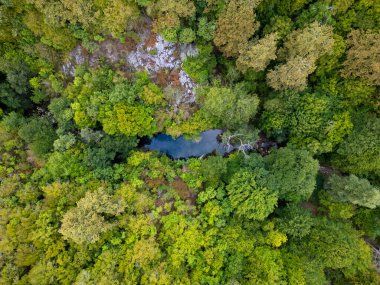 Bulgaristan 'ın Strandzha Ulusal Parkı' ndaki kayalık uçurumlar ve gizli bir nehirle yoğun yeşil bir ormanın üzerinde uçan büyüleyici bir hava aracı görüntüsü doğanın dokunulmamış güzelliğini yakalıyor..