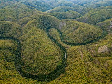 A mesmerizing aerial drone view flying above a dense green forest with rocky cliffs and a hidden river Veleka in Strandzha National Park, Bulgaria, capturing the untouched beauty of nature. clipart