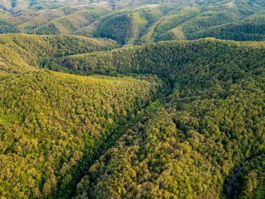 Bulgaristan 'ın Strandzha Ulusal Parkı' ndaki kayalık uçurumlar ve Veleka nehrinin üzerinde uçan büyüleyici bir hava aracı manzarası doğanın dokunulmamış güzelliğini yakalıyor..