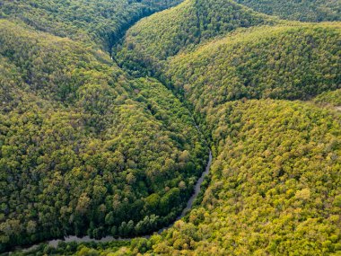 Bulgaristan 'ın Strandzha Ulusal Parkı' ndaki kayalık uçurumlar ve Veleka nehrinin üzerinde uçan büyüleyici bir hava aracı manzarası doğanın dokunulmamış güzelliğini yakalıyor..