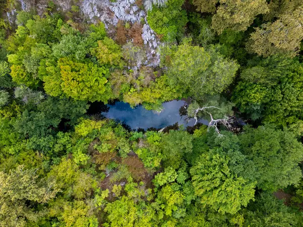 stock image A mesmerizing aerial drone view flying above a dense green forest with rocky cliffs and a hidden river in Strandzha National Park, Bulgaria, capturing the untouched beauty of nature.