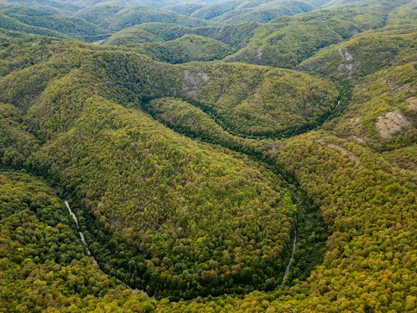 stock image A mesmerizing aerial drone view flying above a dense green forest with rocky cliffs and a hidden river Veleka in Strandzha National Park, Bulgaria, capturing the untouched beauty of nature.