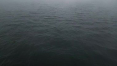 Sakin suda sisli bir gün, görüş mesafesi çok düşük. Sakin ve atmosferik deniz manzarası. Hava, ruh hali, doğa ve manzara görselleri için harika..