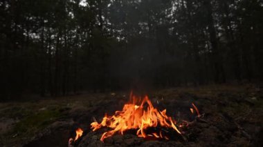 Orman ortamında yanan bir kamp ateşi. Alevler dans ediyor ve sıcak bir ışık saçıyor. Ateş, doğal çevreye rahat ve kırsal bir atmosfer ekler..