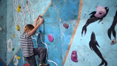 6 yaşında bir çocuk renkli bir kapalı duvarda kaya çalışması yapıyor. Odaklanmış ve kararlı, farklı ambarlarda yol alıyor, güç ve denge gösteriyor.
