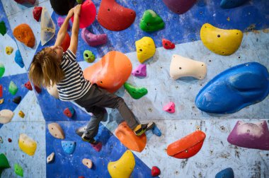 6 yaşında bir çocuk canlı bir kayanın üzerine tırmanıyor ve rengarenk duvarlara tırmanıyor, eğlenceli ve aktif bir tırmanış deneyimi yaşıyor. Çocuklar için spor ve macera için mükemmel..