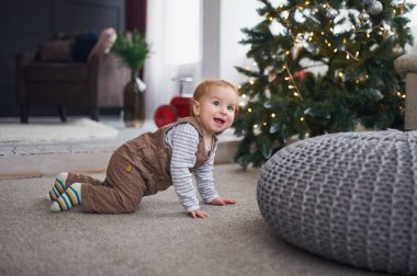 Neşeli bir bebek, süslü bir Noel ağacının yanında dolaşırken kocaman bir gülümsemeyle yumuşak bir halıda sürünüyor. Sıcak oturma odası tatil ruhuyla dolu..