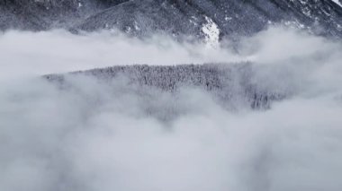 Sakin bir kış, sis kaplı kar örtülü dağları sergiliyor. Yoğun sis ormanın bazı kısımlarını gizliyor ve huzurlu atmosferi güçlendiriyor..