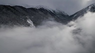 Karla kaplanmış görkemli dağlar girdap gibi bir sis denizinin üzerinde yükselirler, Alp bölgesindeki bir kış gününün sükunetini yakalarlar. Atmosfer huzurlu ve durgun..