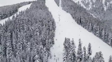 Kayak meraklıları yüksek çam ağaçlarıyla çevrili manzaralı yamaçlardan geçerken, başkanlar açık bir kış gününde kar örtülü dağlara tırmanırlar. Bansko, Bulgaristan