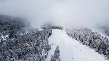 Güzel bir kış manzarasında karla kaplı ağaçlar ve bir kayak yolu bulunur. Kayakçılar, sis ve taze karla çevrili dağlarda huzurlu bir günün tadını çıkarırken görülüyor. Bansko, Bulgaristan