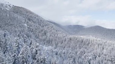 Kar, kayan tepeleri ve sık ormanı kaplıyor ve sakin bir kış harikalar diyarı yaratıyor. Gökyüzü kısmen bulutlu, ortama barışçıl bir hava katıyor..