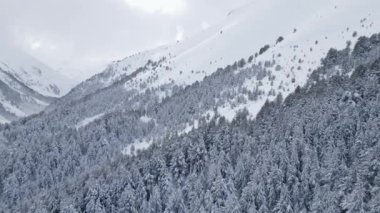 Karla kaplı dağlar ufuk boyunca uzanır, yemyeşil ağaçları sarar, sakin bir kış atmosferinde, bulutlar gökyüzünde sarkar..