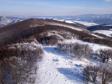 Bulgaristan 'daki karla kaplı Balkan Dağları' nın havadan görünüşü. Kış manzarasında yuvarlanan tepeler, don kaplı ağaçlar ve açık mavi bir gökyüzü yer alır. Yürüyüşçüler sakin çölde yürürler.