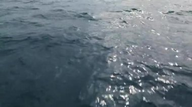 Yumuşak dalgalar ve güneş ışığı yansımalarıyla okyanus yüzeyinin yakın görüntüsü barışçıl ve doğal bir su dokusu yaratıyor..