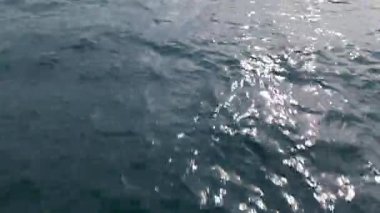 Yumuşak dalgalar ve güneş ışığı yansımalarıyla okyanus yüzeyinin yakın görüntüsü barışçıl ve doğal bir su dokusu yaratıyor..