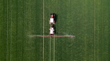 İlkbaharda geniş yeşil bir alana gübre ya da böcek ilacı püskürten traktör modern tarım teknolojisi ve mahsul bakımını gösteriyor..