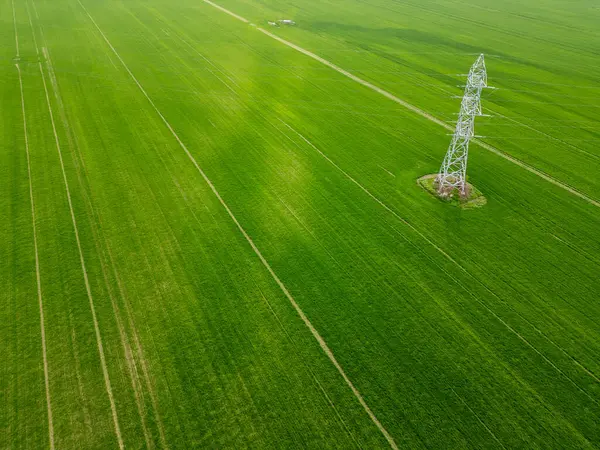 Paralel çizgiler ve baharda ekili arazinin zengin dokusunu gösteren canlı yeşil tarım arazisinin havadan görünüşü..