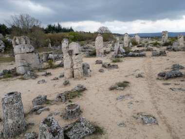 Pobiti Kamani, Bulgaristan ve Varna 'daki doğal taş sütunlar bulutlu bir gökyüzü altında seyrek bitki örtüsüyle kumlu bir araziye saçıldı..