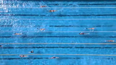 Açık hava yüzme havuzunda yüzen yüzücülerin hava manzarası açık mavi su ve tepesinde uçan kuşlar..
