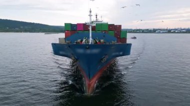 Sakin sularda yüzen renkli konteynırlarla dolu büyük mavi bir kargo gemisinin önü. Martıları ve kıyı arkaplanı olan sanayi deniz manzarası.
