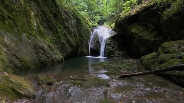 Bulgaristan 'ın Strandzha Doğal Parkı' nda Kazancheto şelalesi. İkiz akarsular yosunlu kayaların üzerinden geçerek yemyeşil ormanlarla çevrili karanlık bir havuza dönüşür. Yazın huzurlu saklı doğal mücevher.