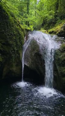 Bulgaristan 'ın Strandzha Doğal Parkı' nda Kazancheto şelalesi. İkiz akarsular yosunlu kayaların üzerinden geçerek yemyeşil ormanlarla çevrili karanlık bir havuza dönüşür. Yazın huzurlu saklı doğal mücevher.