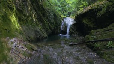 Bulgaristan 'ın Strandzha Doğal Parkı' nda Kazancheto şelalesi. İkiz akarsular yosunlu kayaların üzerinden geçerek yemyeşil ormanlarla çevrili karanlık bir havuza dönüşür. Yazın huzurlu saklı doğal mücevher.