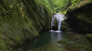 Bulgaristan 'ın Strandzha Doğal Parkı' nda Kazancheto şelalesi. İkiz akarsular yosunlu kayaların üzerinden geçerek yemyeşil ormanlarla çevrili karanlık bir havuza dönüşür. Yazın huzurlu saklı doğal mücevher.