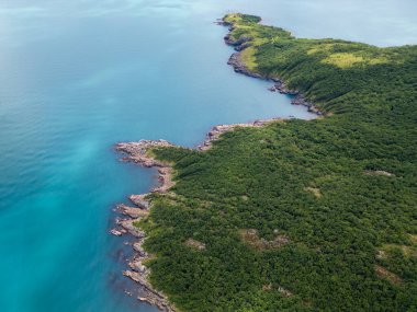 Bulgaristan 'ın Karadeniz kıyısındaki orman ve kayalık kıyılarla çevrili vahşi bir koy manzarası. Kristal berrak turkuaz su ve dokunulmamış doğa.