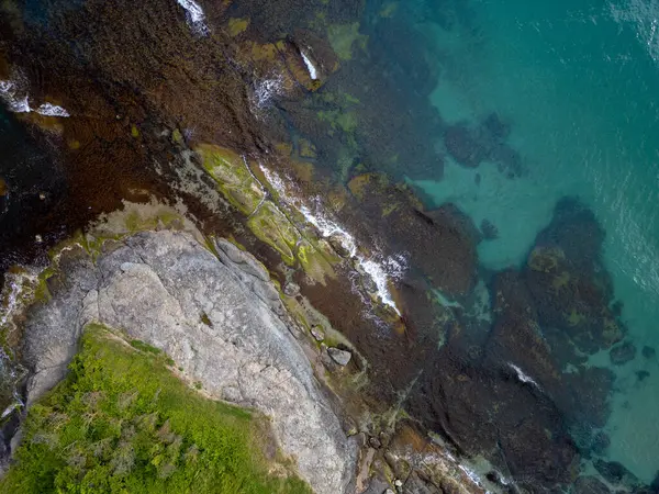 Turkuaz deniz dalgalarının yosun ve berrak suyla kayalık kıyı şeridine düşüşünün havadan aşağı görüntüsü. Bulgaristan kıyıları boyunca vahşi doğa dokusu, dramatik ve manzaralı.