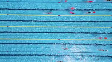 Açık havada olimpiyat boyutunda bir yüzme havuzunun havadan görünüşü ve şeritlerde birden fazla yüzücü eğitimi. Gündüz İHA 'dan yakalanmış. Spor, spor, spor ve eğlence teması için ideal..