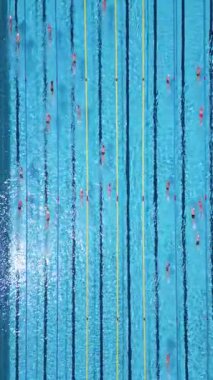 Açık havada olimpiyat boyutunda bir yüzme havuzunun havadan görünüşü ve şeritlerde birden fazla yüzücü eğitimi. Gündüz İHA 'dan yakalanmış. Spor, spor, spor ve eğlence teması için ideal..