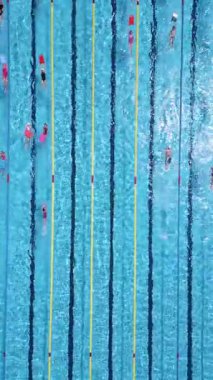 Açık havada olimpiyat boyutunda bir yüzme havuzunun havadan görünüşü ve şeritlerde birden fazla yüzücü eğitimi. Gündüz İHA 'dan yakalanmış. Spor, spor, spor ve eğlence teması için ideal..