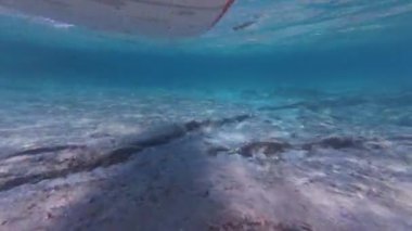 Bir kürek tahtasının altına monte edilmiş su altı görüntüsü, tropikal sularda ayakta kürek çekerken raket vuruşunu ve açık deniz tabanını yakalıyor..