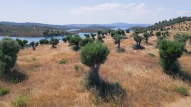 Turkuaz su, kumlu plajlar ve gizli koylara demir atmış teknelerin bulunduğu manzaralı bir sahil şeridi videosu. Idyllic Akdeniz manzarası kristal berrak deniz ve doğal güzellik.