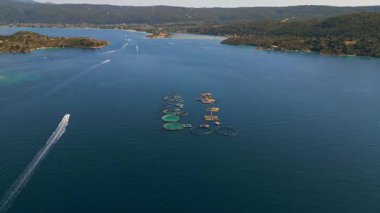Açık denizdeki açık deniz balık çiftliği kafeslerinin ve platformların havadan görüntüsü. Modern su kültürü yapıları berrak gökyüzünün altında derin mavi sularda yüzerler..