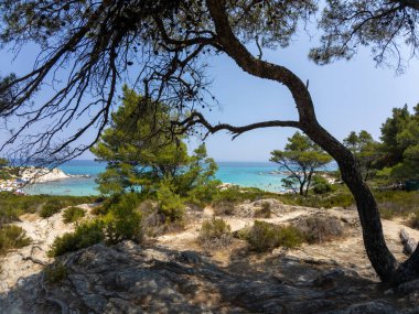 Turkuaz bir deniz manzarası ve çam ağaçları ve kayalık arazi tarafından çerçevelenmiş kumlu bir plaj güneşli bir yaz gününde.