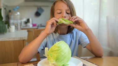 Küçük çocuk mutfak masasında taze marul yiyor. Doğal ışık, sağlıklı vejetaryen atıştırmalık, basit ve sıradan günlük atmosfer..