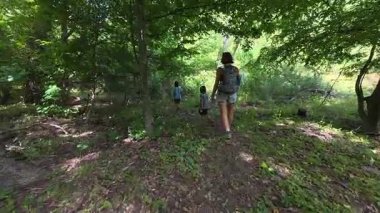 Aile bir orman patikası boyunca birlikte yürüyor. Sırt çantalı bir kadın ve iki çocuk doğayı keşfediyor. Yürüyüş, açık hava macerası, yaz tatili ve ormanda kaliteli zaman geçirme..