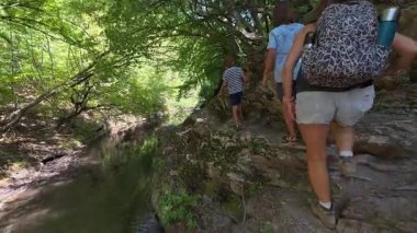Aile bir orman patikası boyunca birlikte yürüyor. Sırt çantalı bir kadın ve iki çocuk doğayı keşfediyor. Yürüyüş, açık hava macerası, yaz tatili ve ormanda kaliteli zaman geçirme..