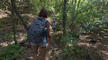 Aile bir orman patikası boyunca birlikte yürüyor. Sırt çantalı bir kadın ve iki çocuk doğayı keşfediyor. Yürüyüş, açık hava macerası, yaz tatili ve ormanda kaliteli zaman geçirme..