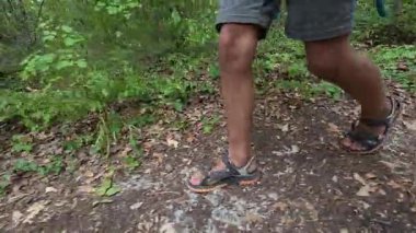 Çocuğun ormanda şort ve sandalet giyerek yürüdüğü yakın plan. Açık hava macerası, doğa yürüyüşü ve keşfi..