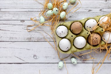 Yuvadaki Paskalya yumurtaları, metin için boşluk