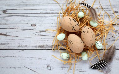 Mutlu Paskalyalar. Yuvadaki Paskalya yumurtaları, metin için boşluk