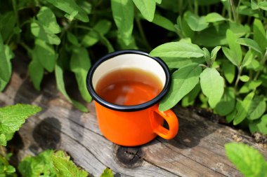 Bir fincan Enamel çayı. Bir fincan bitki çayı. Bahçede bir fincan adaçayı