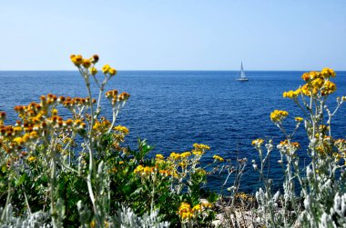 Adriyatik denizi Hvar, Hırvatistan 'ın mavi ufukta görünen yelkenlisi