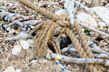 Çakıl taşlı sahilde yıpranmış deniz ipleri.